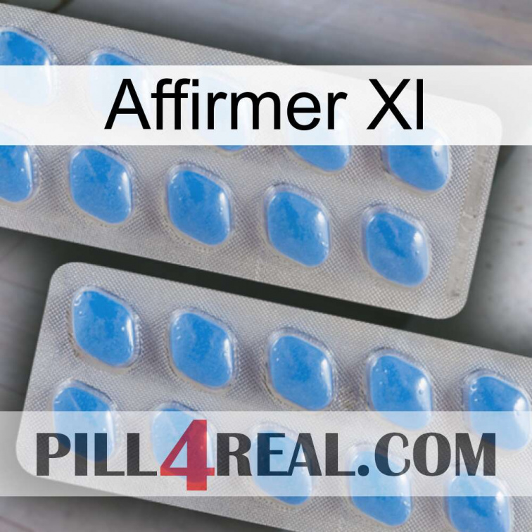 Affirm Xl 23